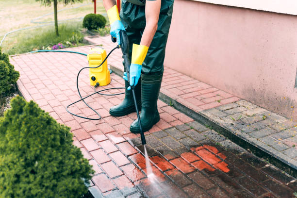 Best Deck Cleaning Services  in Nashwauk, MN