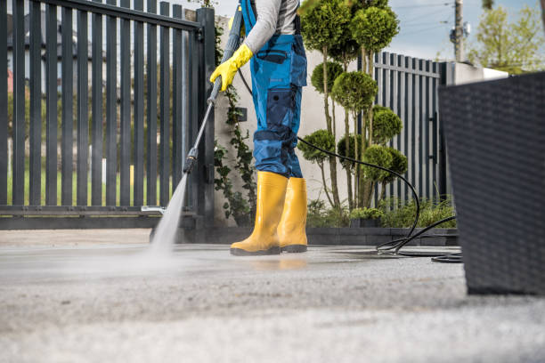 Best Affordable Pressure Washing  in Nashwauk, MN