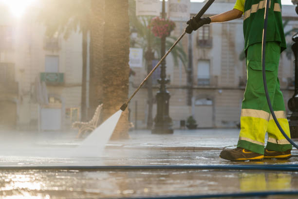 Best Exterior Home Cleaning  in Nashwauk, MN